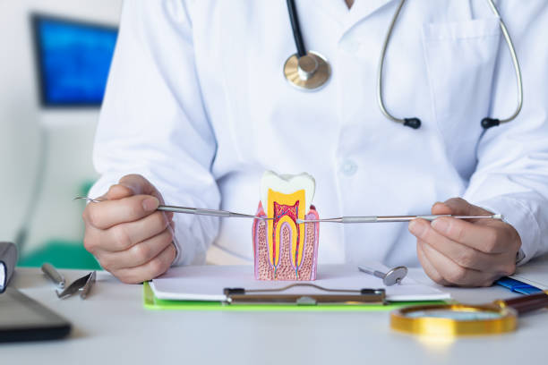 Best 24-Hour Emergency Dentist in Scottville, MI